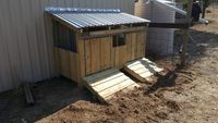 Chicken Coop 2 Completed